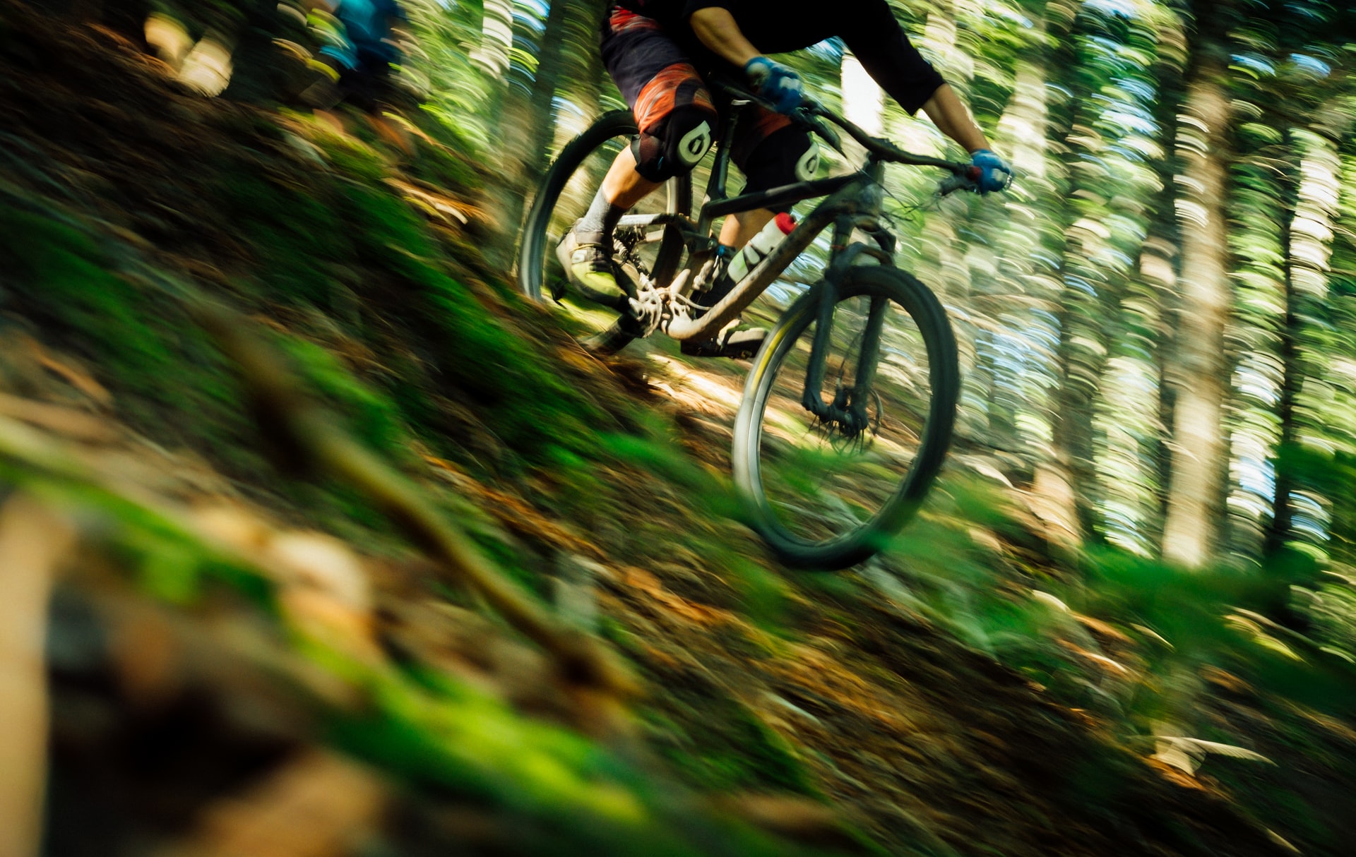 Mount Hermon Felton Bike Park