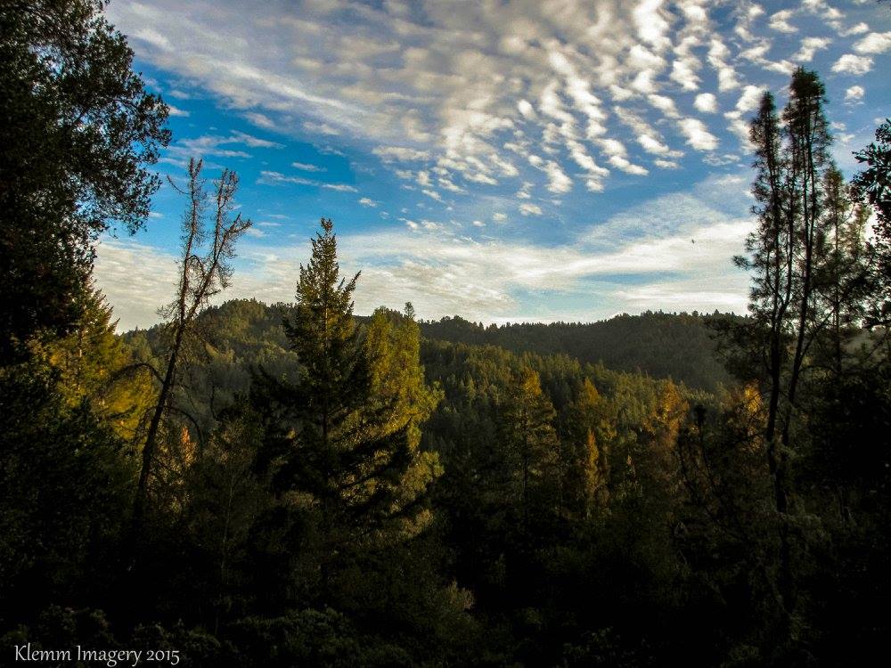 Big Basin Little Basin Redwoods