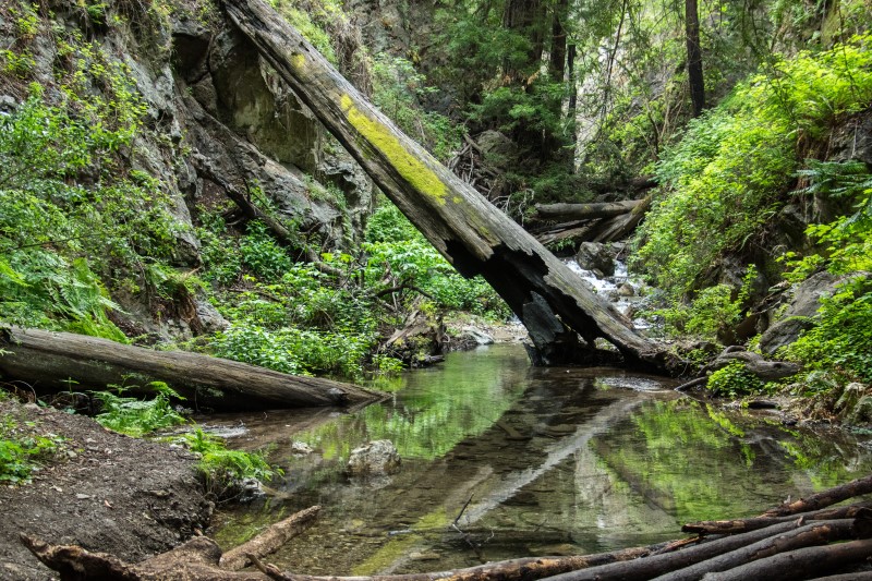 San Lorenzo Valley