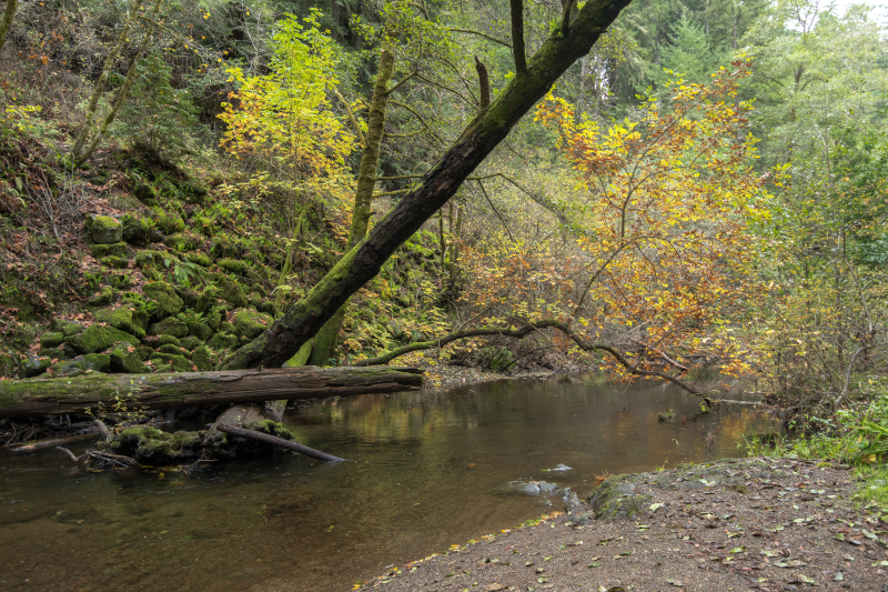 San Lorenzo Valley