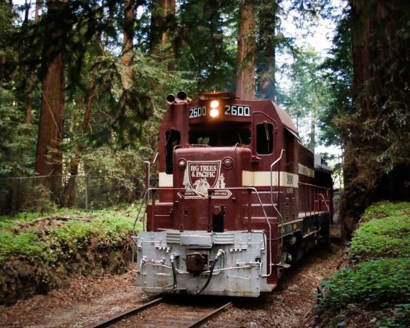 Image for display with article titled Roaring Camp’s Future in Question: Transportation Commission Considers Forced Abandonment