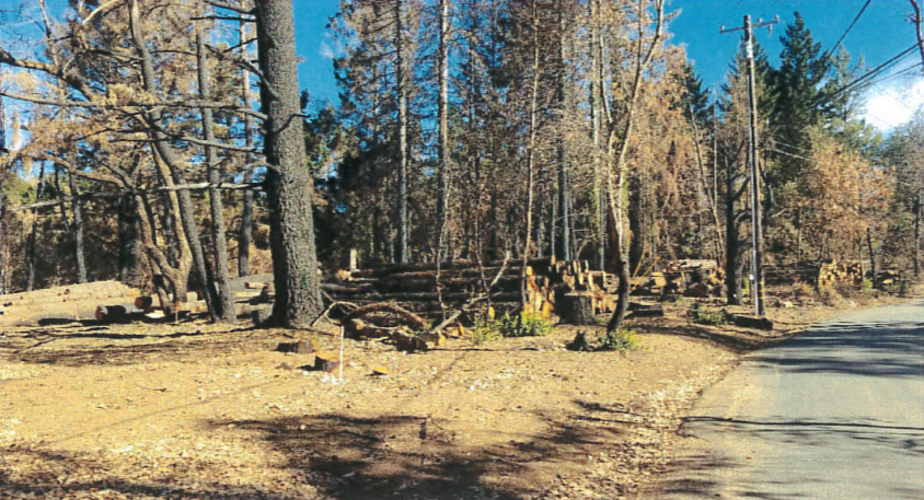 Image for display with article titled PG&E to Hold Meeting on CZU Fire Wood Removal Program