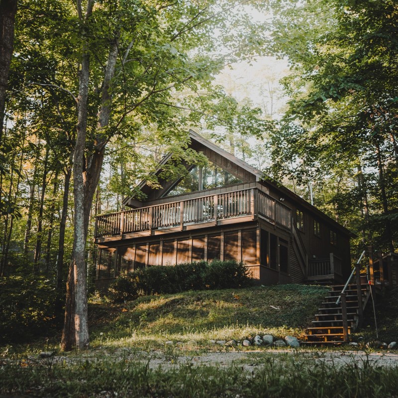 Cabin in the forest