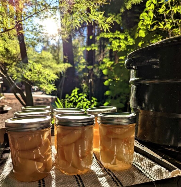 Canned Pears and Sparkling Pear Soda San Lorenzo Valley Post