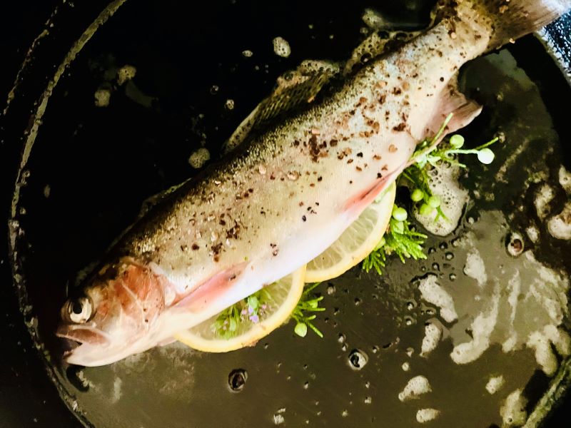 What Does Rainbow Trout Taste Like? (It Depends) - The Wild