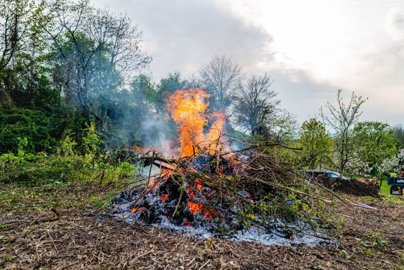 backyard burn pile