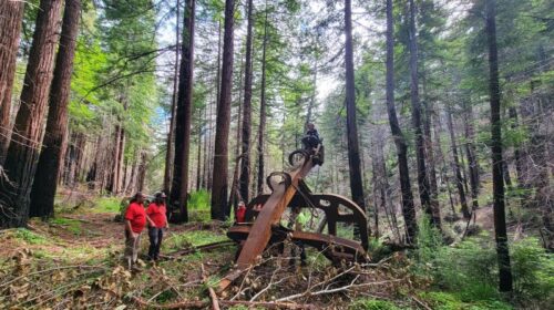 LOGGING ARCH