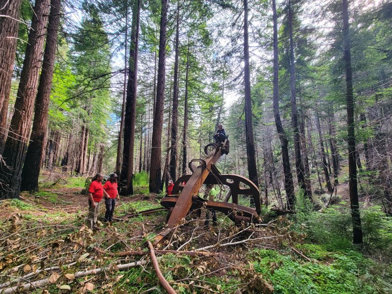 LOGGING ARCH