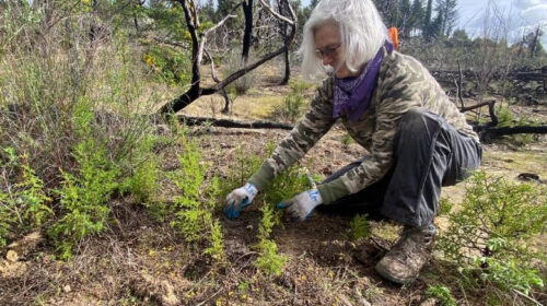 Linda Brodman Quail Hollow Ranch County Park