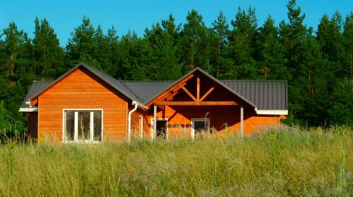 forest cabin