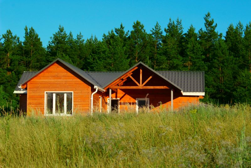 forest cabin