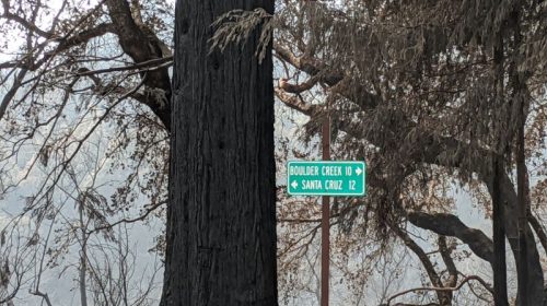 Boulder Creek Santa Cruz CZU fire photo by Mary Andersen