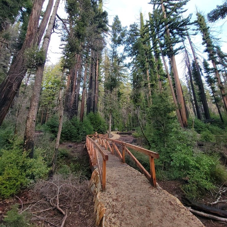 Big Basin Redwoods State Park