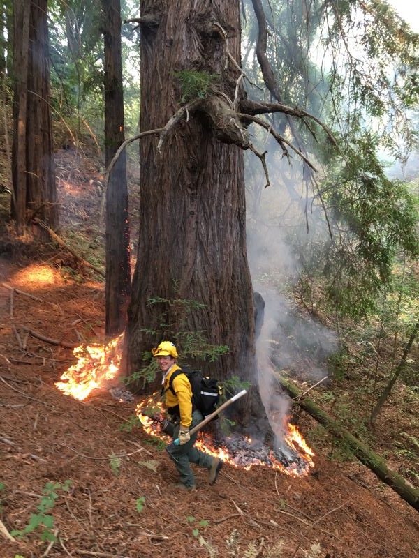 Jane Manning, local resident lights a prescribed burn in Wilder State Park.