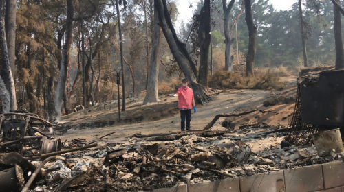 bonny doon czu lightning complex fire 2020