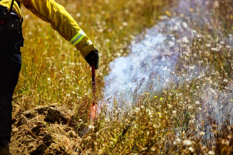 CAL FIRE at the Ben Lomond Training Center San Lorenzo Valley June 2020