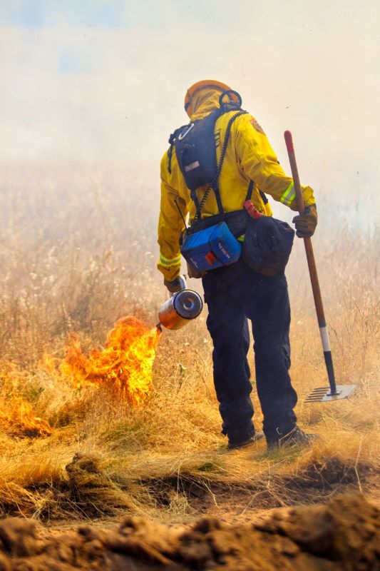 CAL FIRE at the Ben Lomond Training Center San Lorenzo Valley June 2020