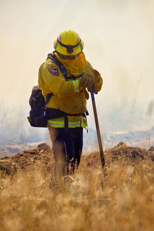 CAL FIRE at the Ben Lomond Training Center San Lorenzo Valley June 2020