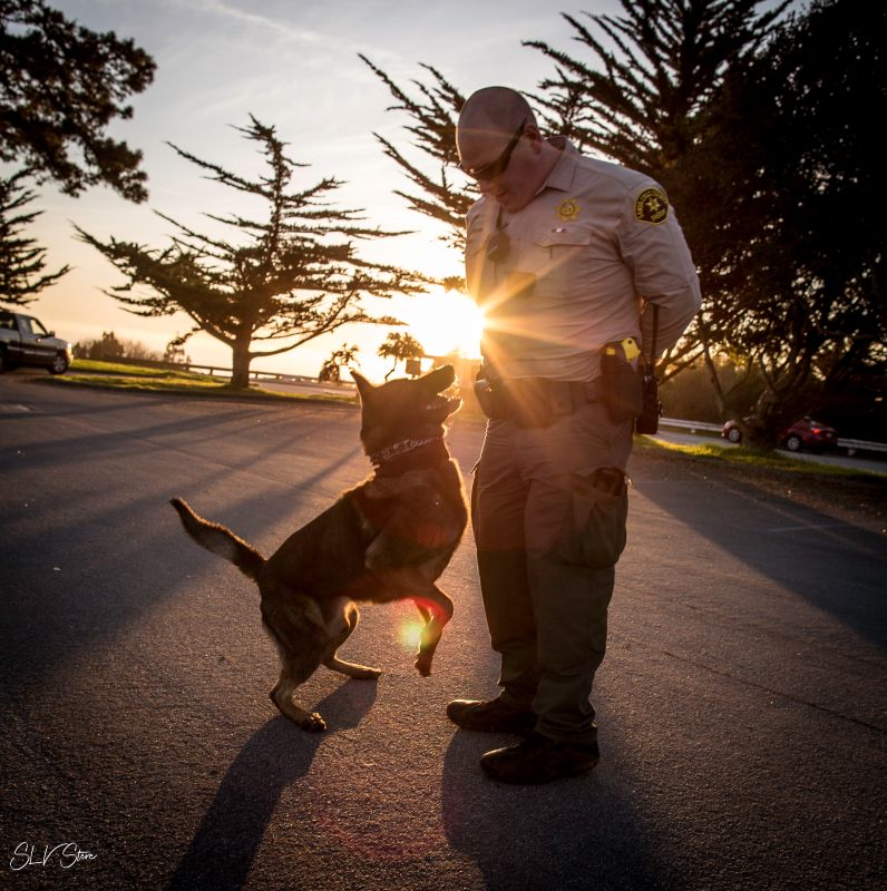Santa Cruz County Sheriff Department with K9800