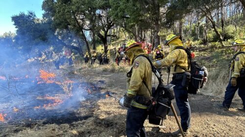 Oak Woodland prescribed burn