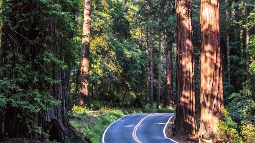 Road repair Santa Cruz Mountains
