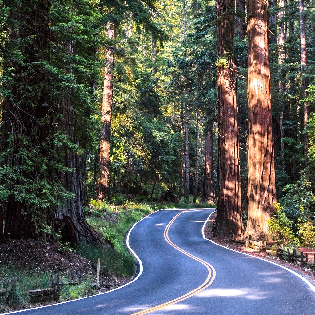 Road repair Santa Cruz Mountains
