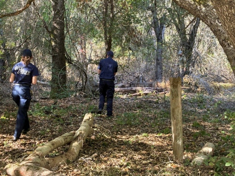 Shaded Fuel Break Miller Property County Park