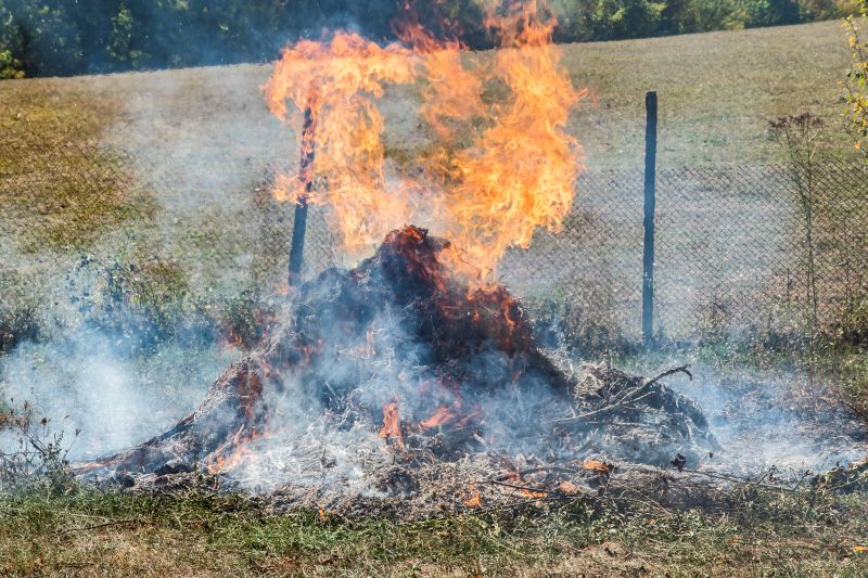 Backyard burn pile