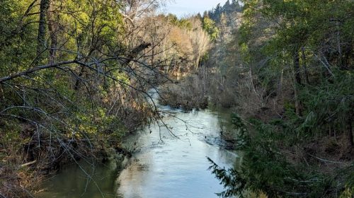 MA San Lorenzo River Felton