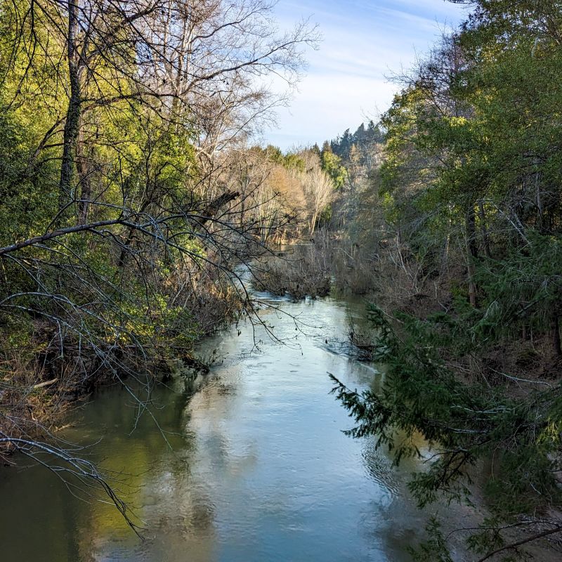 MA San Lorenzo River Felton
