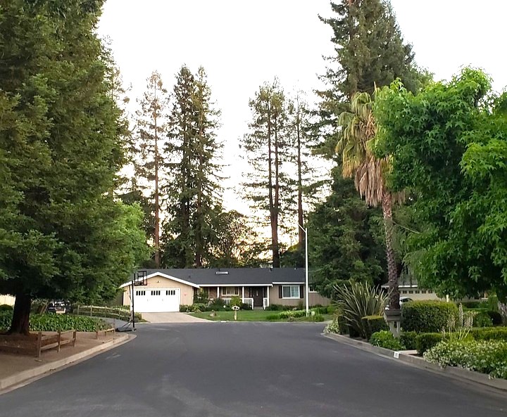 Real Estate San Lorenzo Valley November 2025