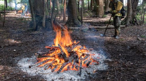 Santa cruz mountains state parks