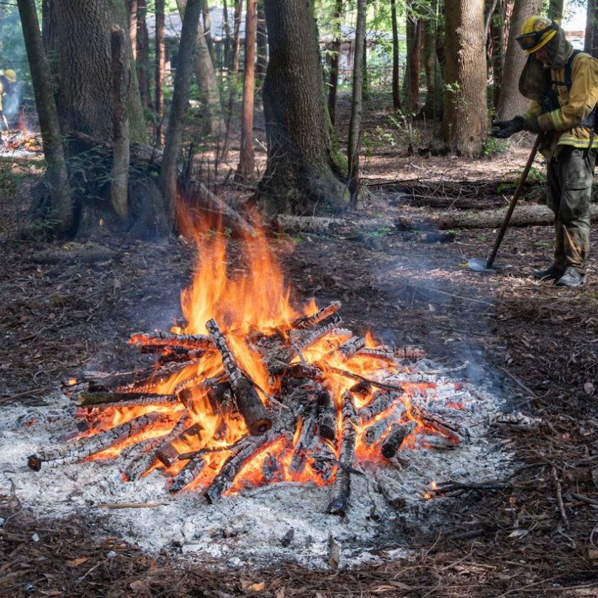 Santa cruz mountains state parks