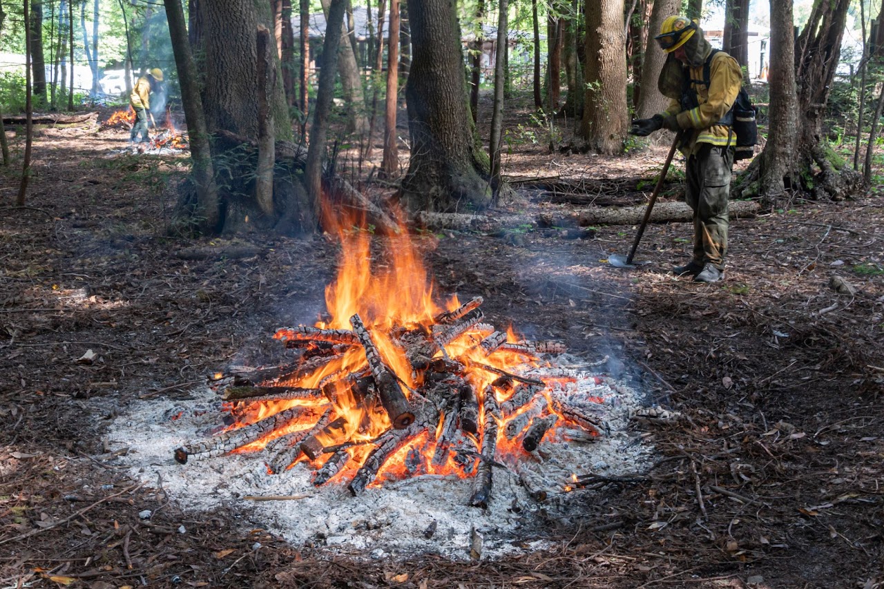 Santa cruz mountains state parks