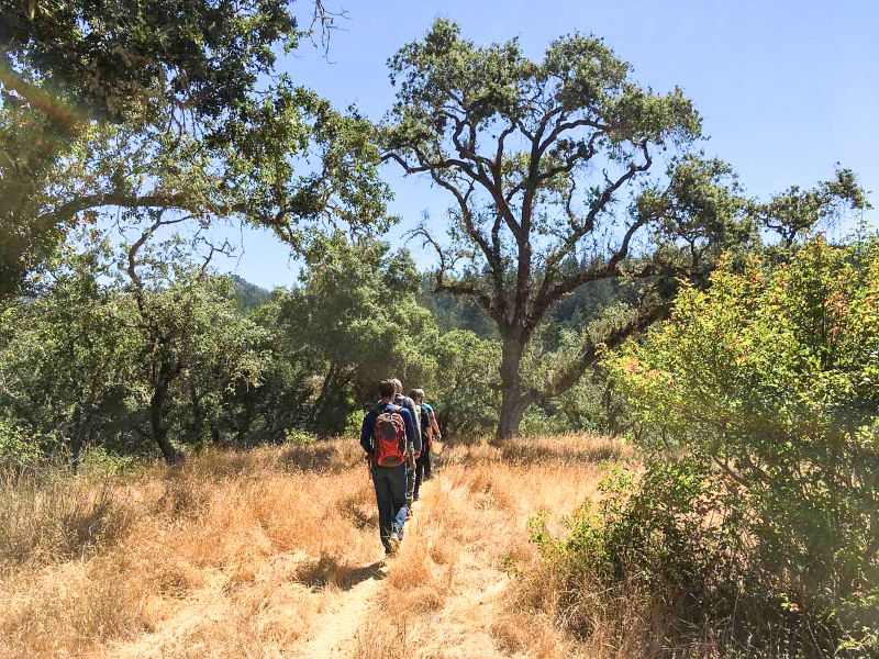 Miller Property County Park Boulder Creek