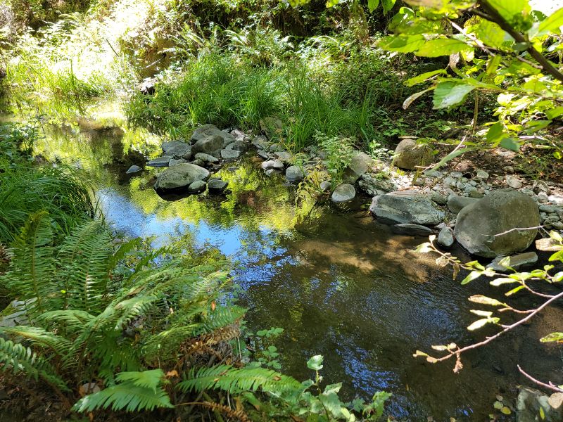 Miller Property county park Boulder Creek California