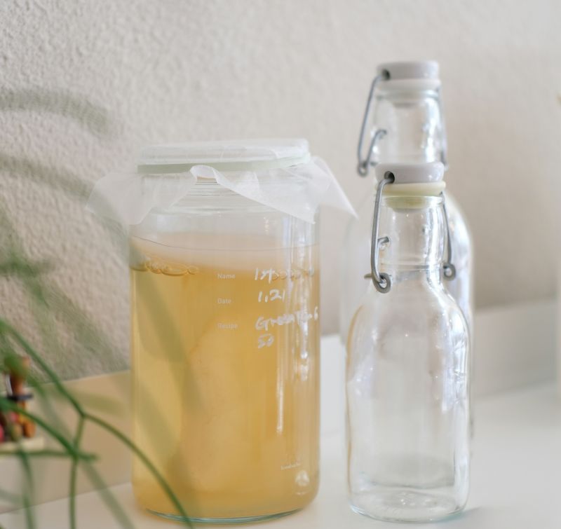 green tea honey jun kombucha