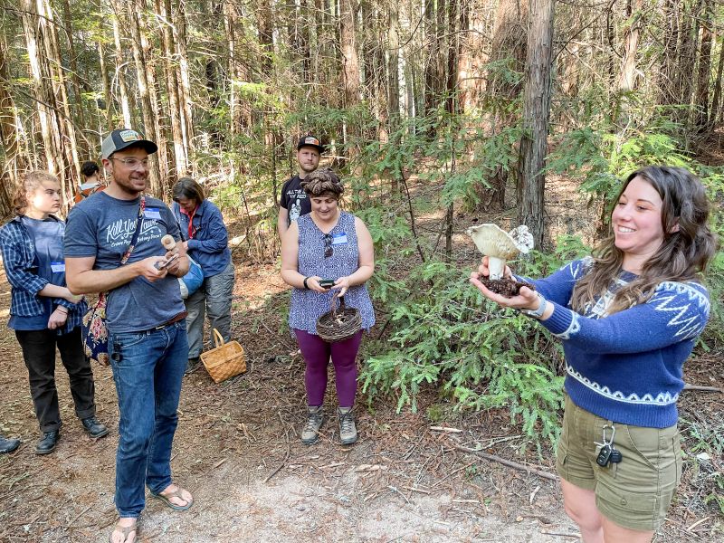Mushroom walk Santa Cruz county
