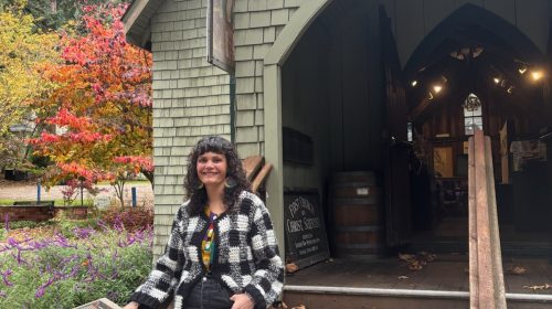 SLV Museum Laura DeAngelis