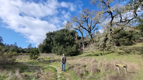 Quail Hollow County Park Felton