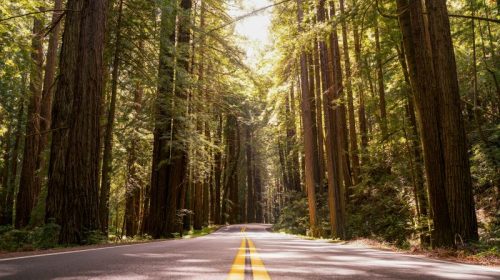 CalTrans speed limits