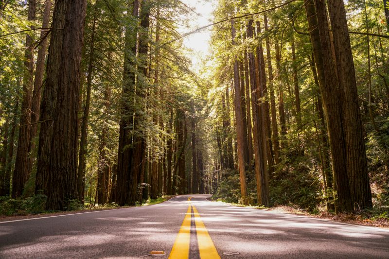 CalTrans speed limits