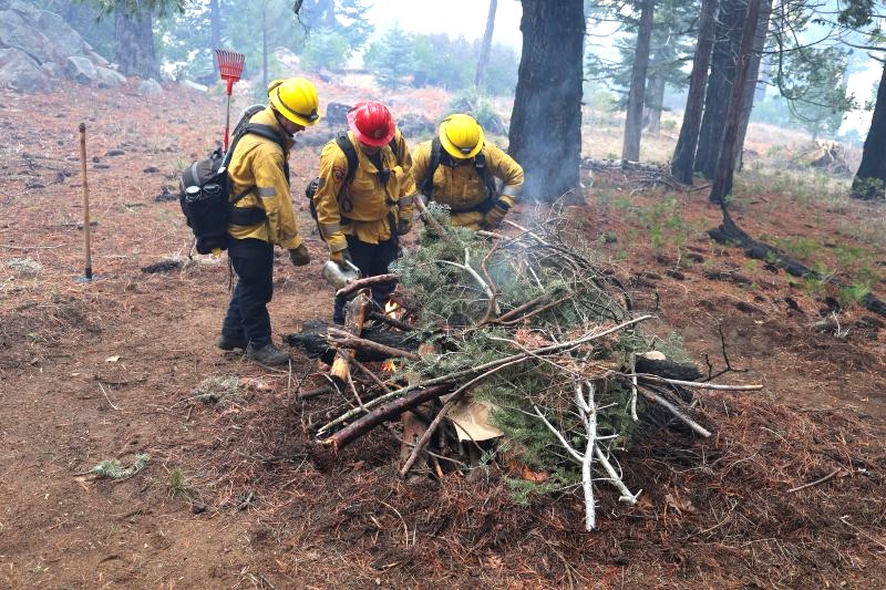 Cal fire pile burn