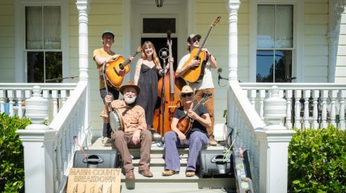 Marin County Breakdown