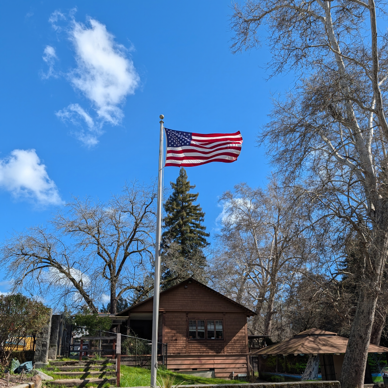 Ben Lomond Flag