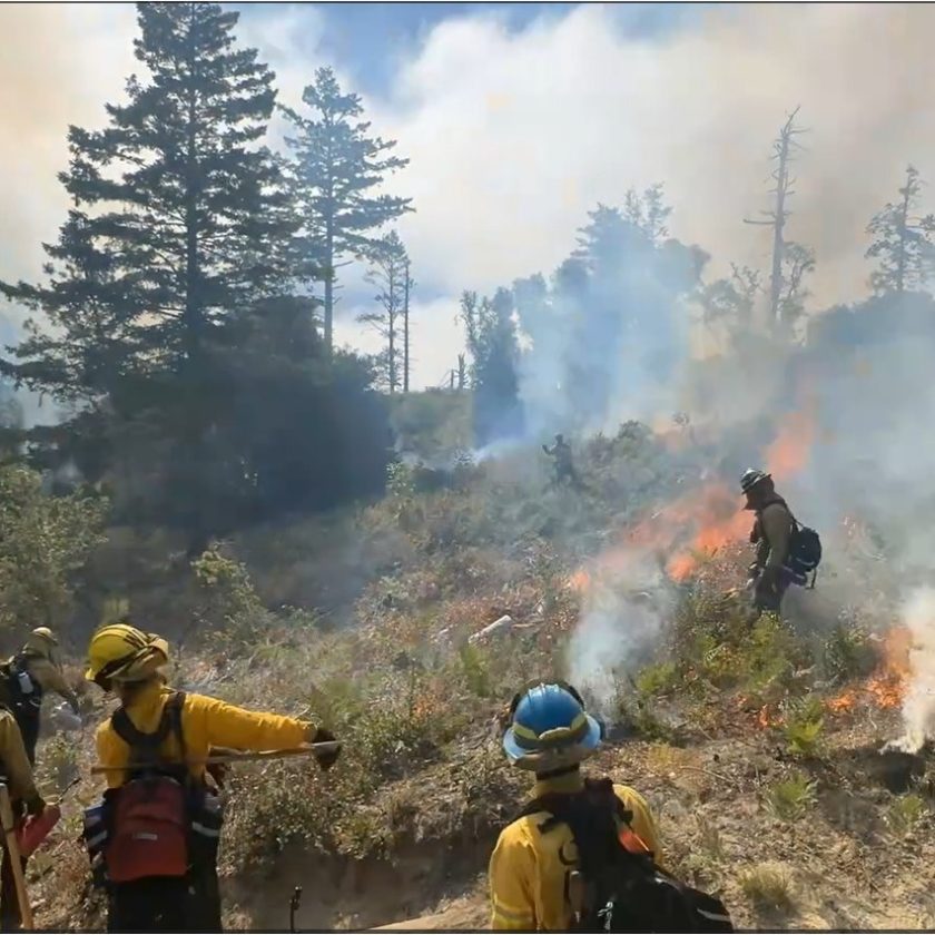 prescribed burn Henry Cowell Redwoods State Park