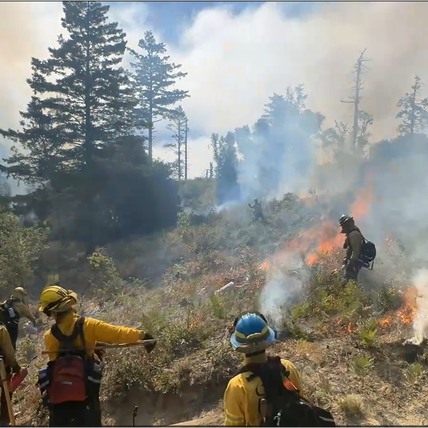 prescribed burn Henry Cowell Redwoods State Park