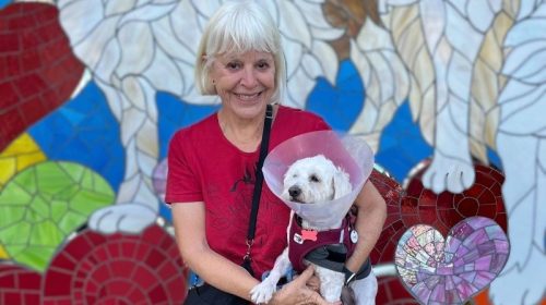 rescue dog of the year