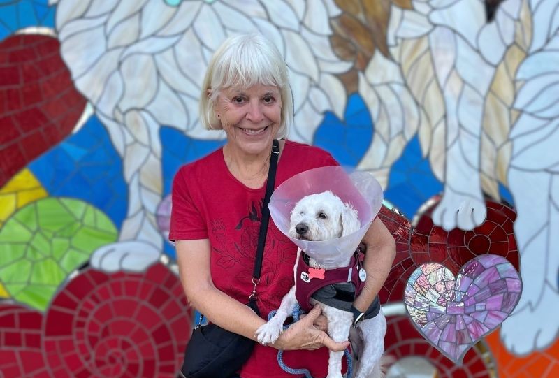 rescue dog of the year