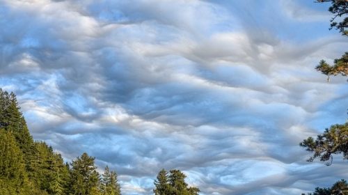 Santa Cruz Mountains Clouds